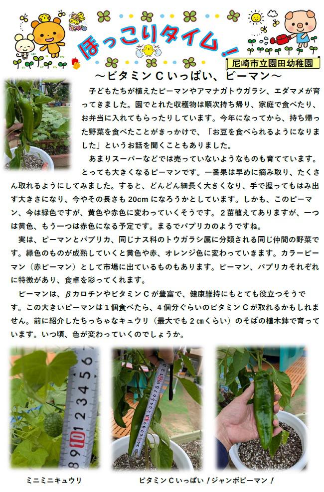 R08_sonoda_0701_1.jpg