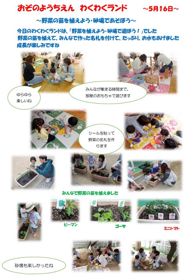 R07_ozono_0523_1.jpg